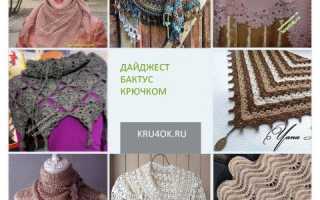 Бактус крючком: схема и описание для начинающих. Самая простая модель, японский, рельефный, боснийский, косынка