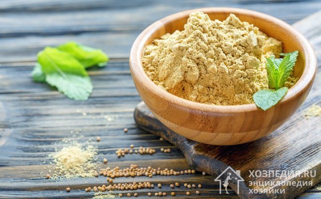 Горчица как средство для борьбы с жирными пятнами