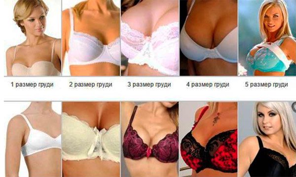 Как выглядит 5 размер груди у девушек, фото