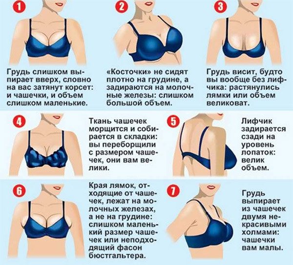 Как выглядит 5 размер груди у девушек, фото