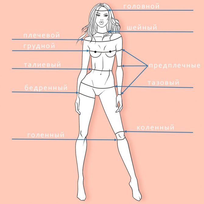 Конструктивные пояса женской фигуры