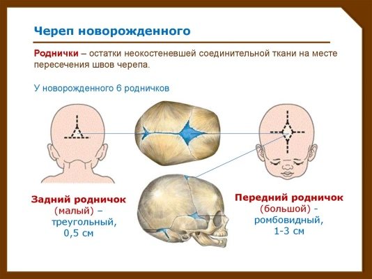 Объем головы у детей: формулы, таблица по возрасту, по месяцам до года у новорожденного ребенка, в 2, 3, 4, 5 лет. Как измерить, какой должен быть