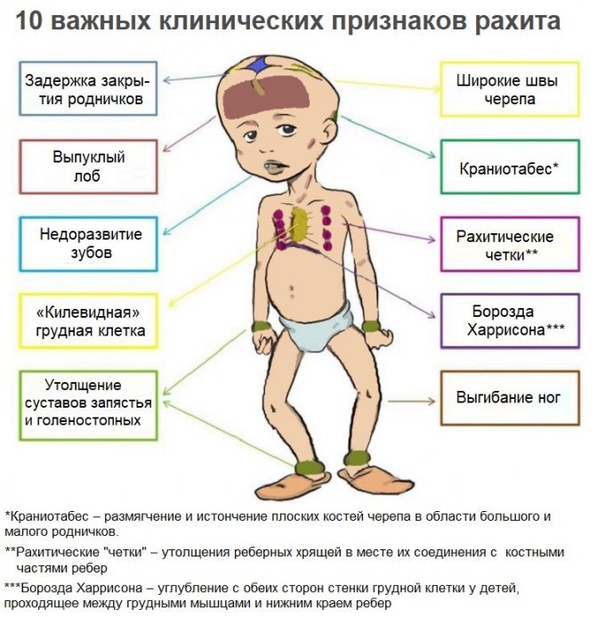 Объем головы у детей: формулы, таблица по возрасту, по месяцам до года у новорожденного ребенка, в 2, 3, 4, 5 лет. Как измерить, какой должен быть